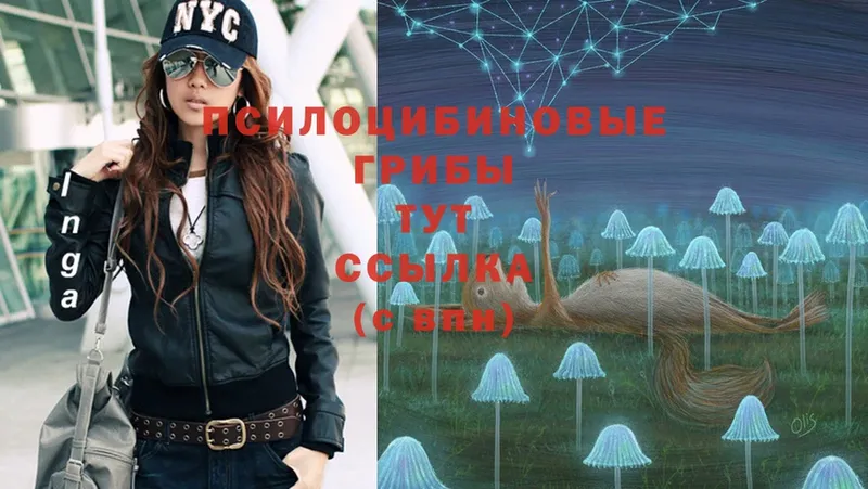 Галлюциногенные грибы Psilocybe  hydra   Удомля 