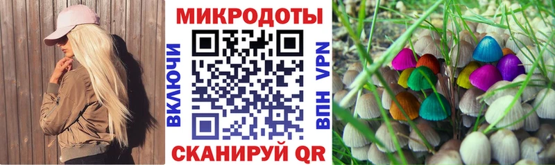Галлюциногенные грибы прущие грибы  Удомля 