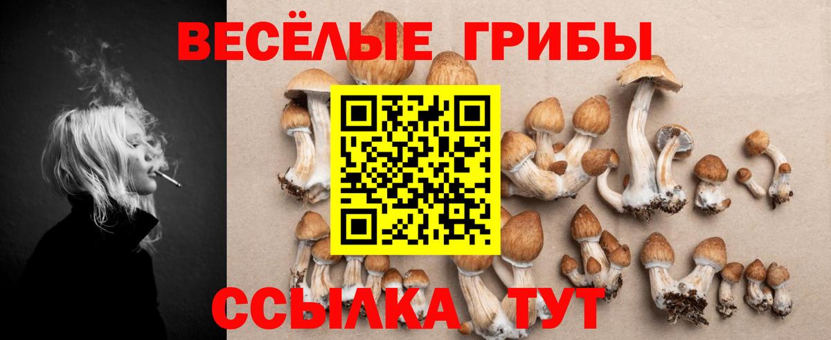 Удомля  Псилоцибиновые грибы мухоморы  Галлюциногенные грибы Cubensis  Вход с VPN 