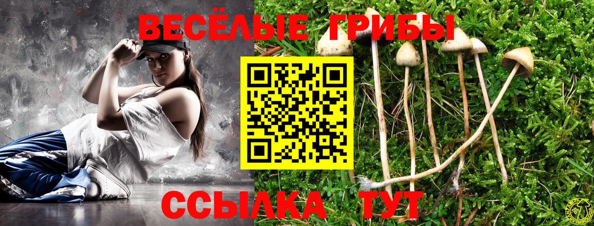 Галлюциногенные грибы Magic Shrooms Удомля